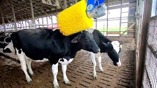 மாட்டுப்பண்ணையில் இத்தனை புது Technology 'ஆ! | Happy Tales Dairy Farm