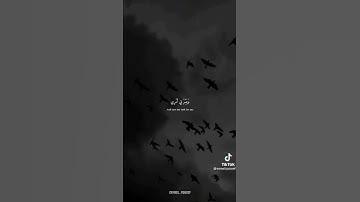 تلاوة خاشعة .. ارح قلبك بذكر الله 🥺🤍￼