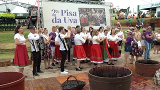 Festa da Uva e do Padroeiro movimentam...