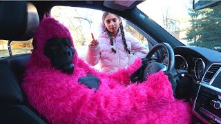Heidi and Zidane and the rules of conduct for children! A cautionary tale from the pink monkey!