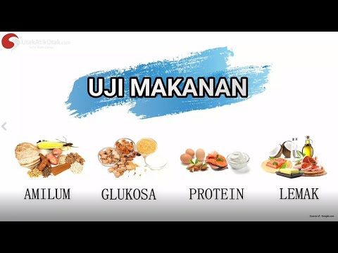 Video: Cara Sederhana untuk Menguji Protein M: 12 Langkah (dengan Gambar)