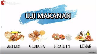 UJI MAKANAN (Amilum, Glukosa, Protein, dan Lemak) || Praktikum Biologi