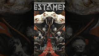 Testament - Brotherhood Of The Snake - The Number Game