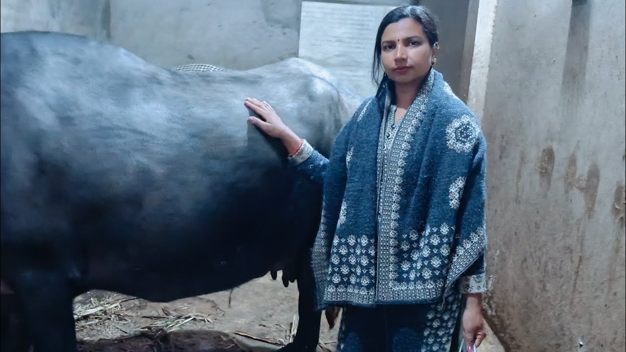 तेज हवा बारिश ने किया आज परेशान