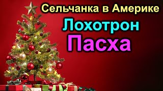 Сельчанка в Америке  Лохотрон