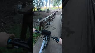 Осиновая роща СПБ озеро большое