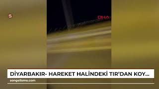 Diyarbakır - Hareket Halindeki Tirdan Koyun Çalan 2 Şüpheli Yakalandı Resimi
