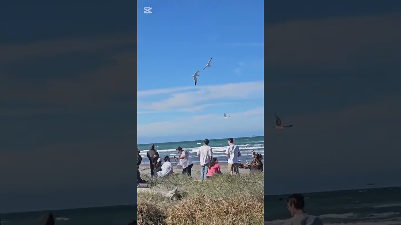 Part 2 #FullAerobaticdisplay Royal New Zealand Air Force Black Falcon #NewBrightonBeach #airforce 