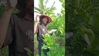 Download Lagu BERTEMU DENGAN YG DICINTA. MP3