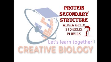 Protein Structure (Part 2)|Secondary structure|Alpha helix|3-10 helix|Pi helix#Protein#Alphahelix