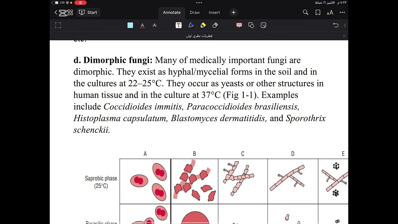 فطريات محاضره اولى  introduction to mycology