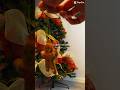 Christmas is coming #christmas #decoration #christmastree #baubles