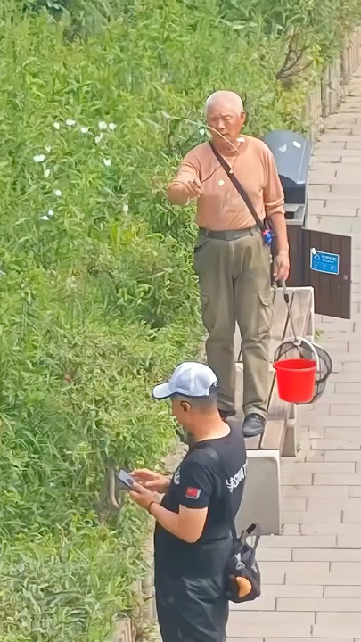 This Man Controlled The Minds Of These Butterflies! 🤯