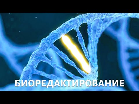 Генетическое редактирование: как и зачем?