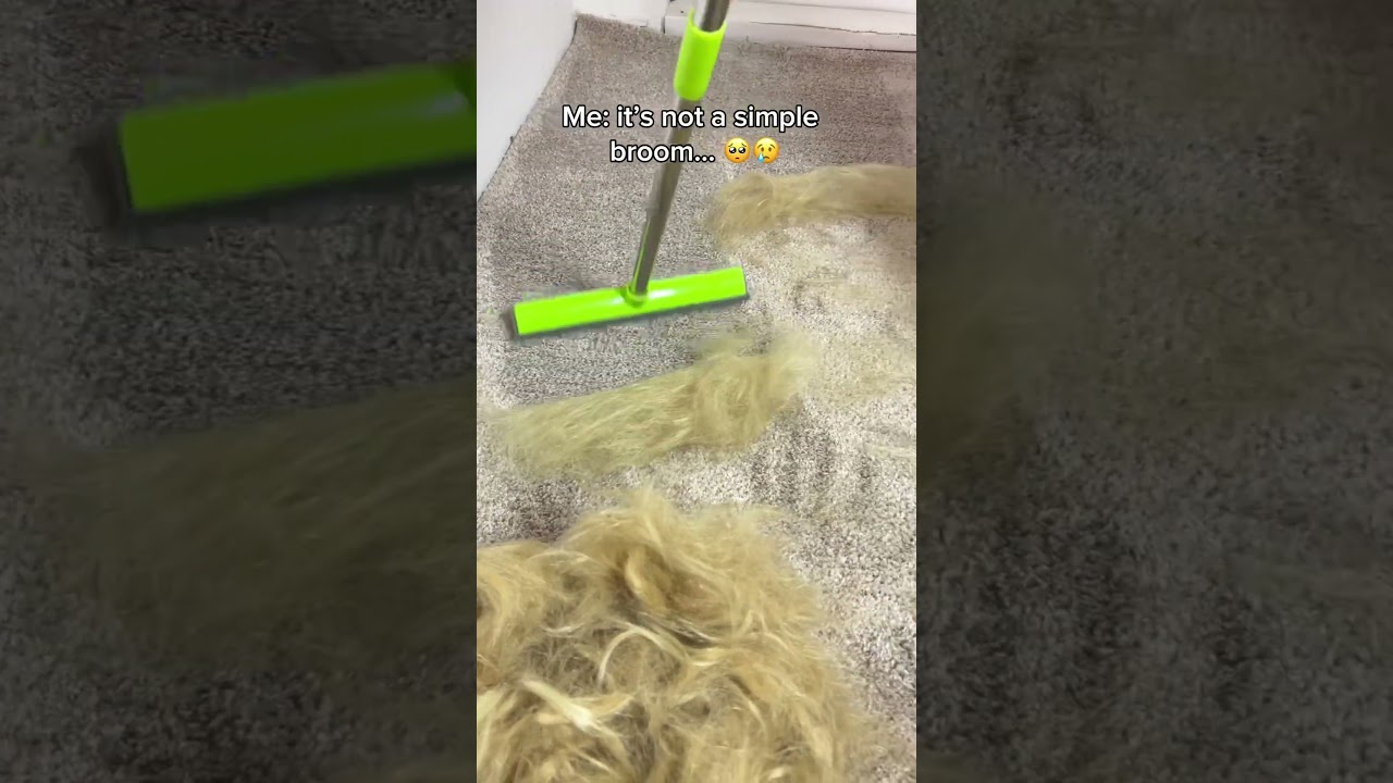 Can you believe this? 😲🤯 #yourpet #cleantok #pethairremoval #cleaning #yourdog #pets #dog  #asmr