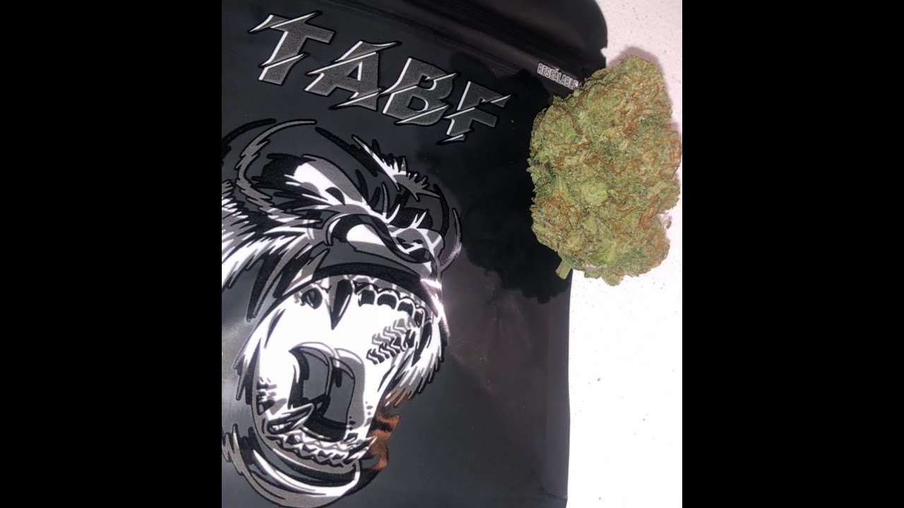 GORILLA CAKE  ( TABF Flower Review )