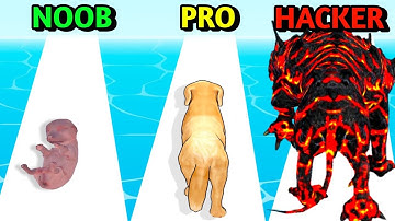 NOOB vs PRO vs HACKER - Dog Evolution Run