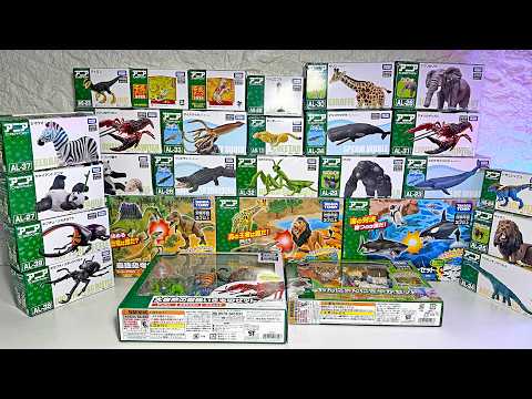 Sea Animals, Wild Animals, Dinosaurs Takara Tomy Ania