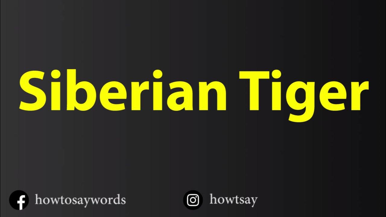 How To Pronounce Siberian Tiger - YouTube