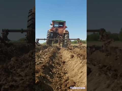 Уход за выращиванием картофеля (окнавание, подкормка, полив) #работа #farming Po zebraniu pędów #pl