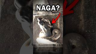 Download Lagu YOGA = NAGA ? MP3 Download Lagu YOGA = NAGA ? MP3