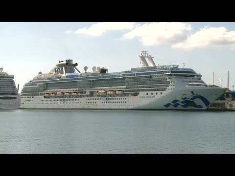 Coronavirus: un navire avec deux morts à bord accoste à Miami | AFP Images Coronavirus: un navire avec deux morts à bord accoste à Miami | AFP Images