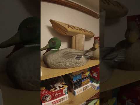 I am Duck, Don't make this Weird