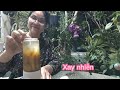 Hoa hồng - Dầu ô liu - Gel lô hội cho bạn làn da mịn màng tươi trẻ.