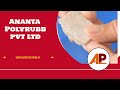 Ananta polyrubb pvt ltd bio  leading traders of rubber and petrochemicals