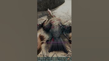 How To Tame A Ichthyornis In Ark Survival Evolved #shorts #ark