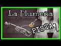 LA PLUMEÑA - PISTA DE PRÁCTICA🎻🎻(Zamba)