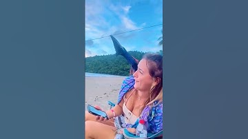 Cassowary SCARE At Beach... 😨☠️