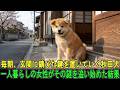 毎朝、玄関に錆びた鍵を置いていく秋田犬…一人暮らしの女性がその謎を追い始めた結果