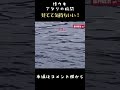 【棒ウキ】アタリの瞬間 #shorts