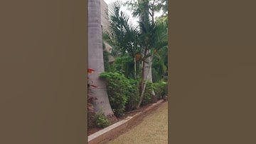 G.H PATEL ENGINEERING COLLEGE, V.V NAGAR #gcet #anand #engineering #viralshort