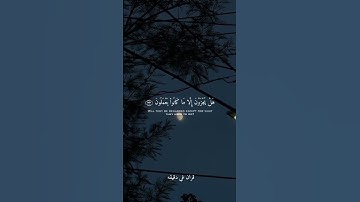 قران كريم ارح قلبك وسمعك #قران_في_دقيقة #عثمان_المكي #quran #المصحف #قرآن @قران_في_دقيقة