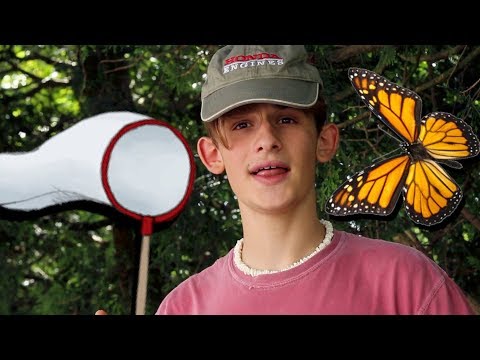 Video: How To Catch A Butterfly