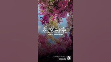 تلاوة بصوت الشيخ #اسلام_صبحي من #سورة_النجم