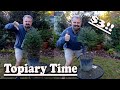 How to Make a Topiary // Lowe's Clearance Plant