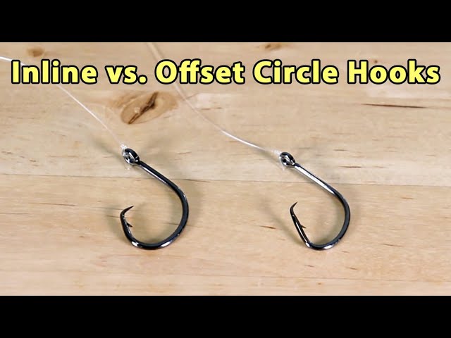 Circle Hooks for Rainbows - Do They Work? 