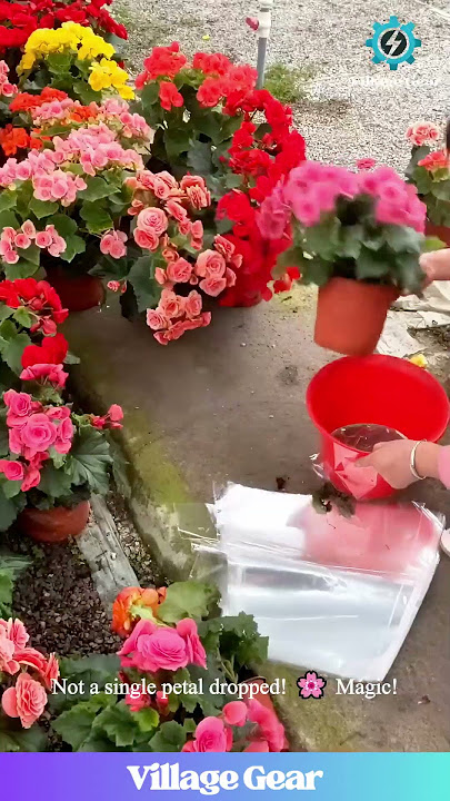 This Flower Packing Method is So SMOOTH! ✨ Flower Ninja Skills! #oddlysatisfying #flower #skills