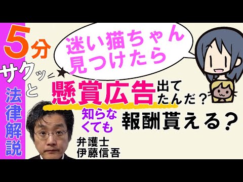 相模原の弁護士相談／改正民法　懸賞広告の法的意味