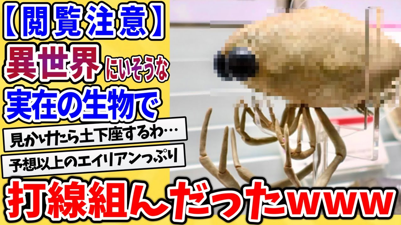 【2ch動物スレ】出会ったらヤバい！異形すぎるバケモノ達が実在した件ｗ