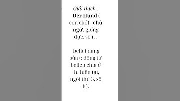 Bài 2: DANH TỪ TIẾNG ĐỨC ( P2) #shorts