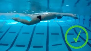 فيديو تعليمي لسباحه الفراشه ضربات رجلين 1 بطريقه سهله جدا