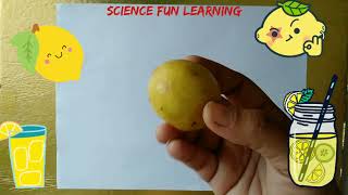 #Science behind Invisible Ink ( Fun activity)