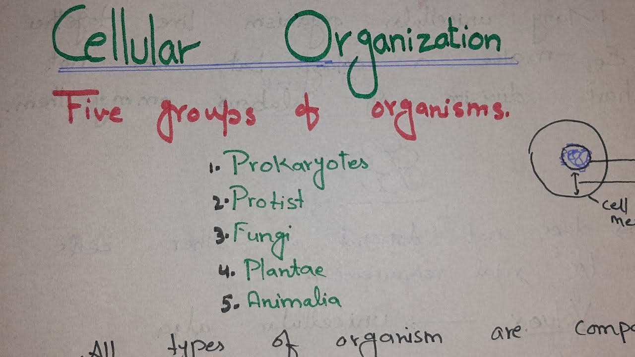 Cellular Organization || cell types|| lecture 18 || chapter 01 || Biology