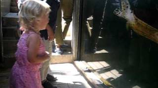Selah Turtle Video.AVI