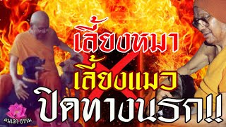 เลี้ยงหมา เลี้ยงแมว ปิดทางนรก|หลวงพ่อฤาษีลิงดำ