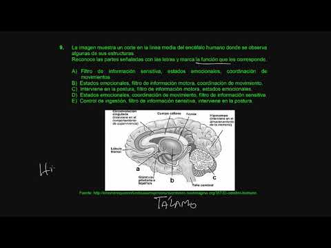 Biología S19 2017 II